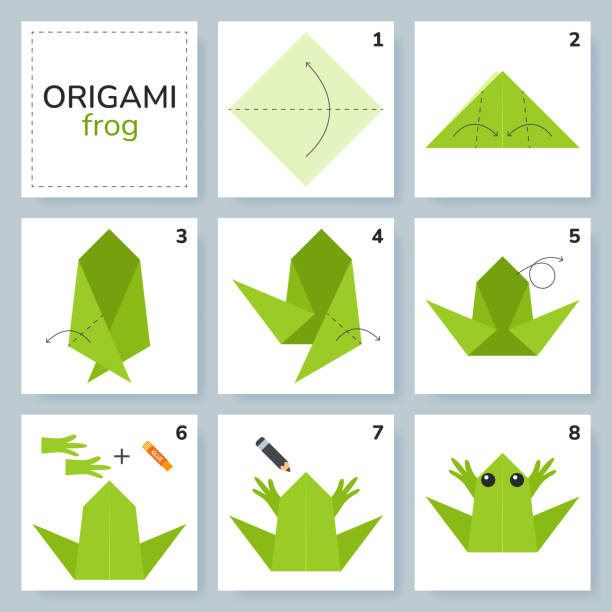 Frog origami scheme tutorial moving model. Frog origami scheme tutorial moving model. Origami for kids. Step by step how to make a cute origami frog. Vector illustration. chinese frog stock illustrations