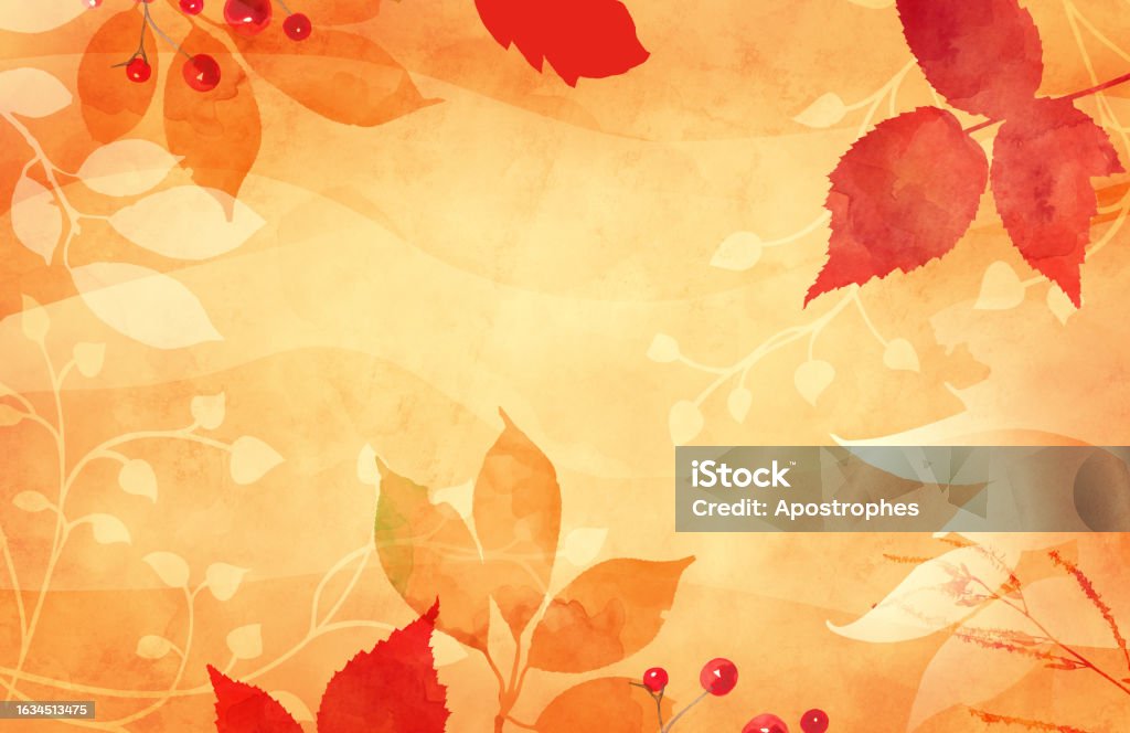 Autumn or fall leaves in floral watercolor background for thanksgiving or fall designs, orange red and peach colors, abstract outlines of leaves and ivy vine on border of orange background Thanksgiving - Holiday Stock Photo