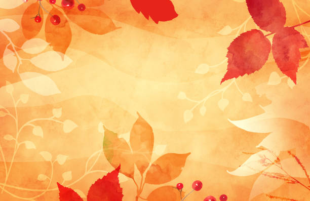 autumn or fall leaves in floral watercolor background for thanksgiving or fall designs, orange red and peach colors, abstract outlines of leaves and ivy vine on border of orange background - leaf paper autumn textured imagens e fotografias de stock