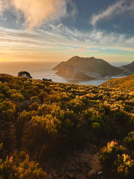 Horizontal view of the rocks and vegetation of the Table Mountain, Cape Town