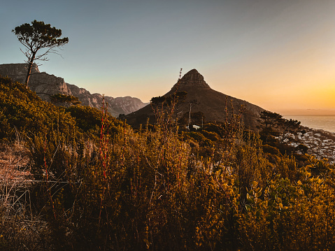Table Mountain and Lion's Head during Sunset as viewed from Signal Hill, Cape Town