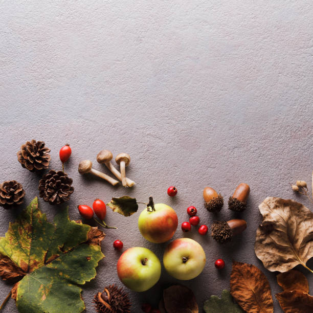 istock Autumn crops and leaves 1634595431