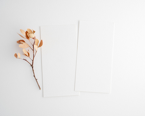 Empty Two white cards mockup with dry leaves
Wedding Program, Invite mockup, Boho card mockup, Blank white card, Wedding invitation.