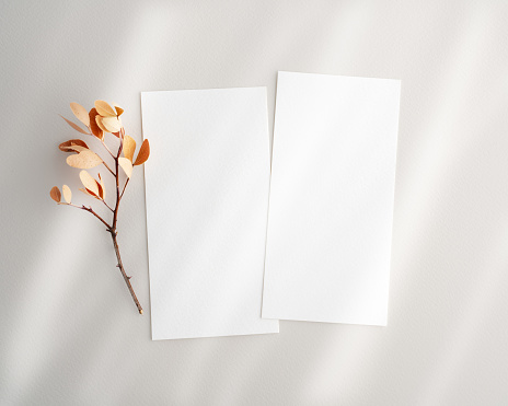 Empty Two white cards mockup with dry leaves\nWedding Program, Invite mockup, Boho card mockup, Blank white card, Wedding invitation.