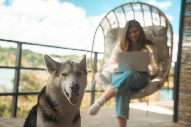 Young woman working on the balcony on her computer with a great view, traveling with her pet living the nomadic lifestyle stock photo