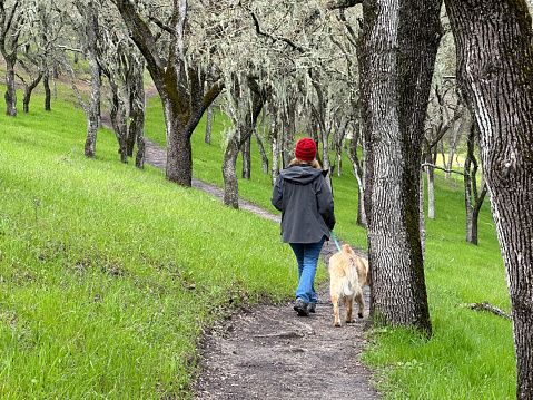 back of person in red knitted beanie and gray rain jacket and blue jeans walking away from camera, with golden retriever on leash. Dirt trail is surrounded by oak trees with moss hanging down and green grass on each side of trail.