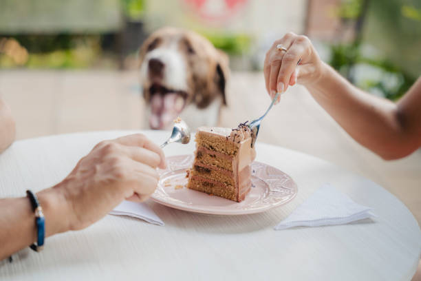 istock Couple eating a dessert in a bakery with their dog 1634652274