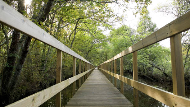 istock Wooden pathway in Lagoas de Bertiandos 1634737421