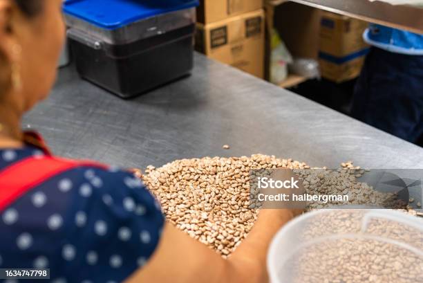 Overtheshoulder Shot Of Worker Sifting Through Peanuts Stock Photo - Download Image Now