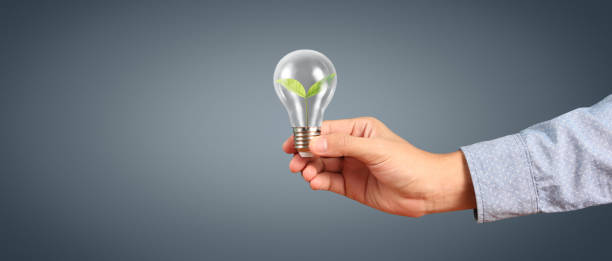 istock Humans hold light bulbs in hand innovative technology 1634759071