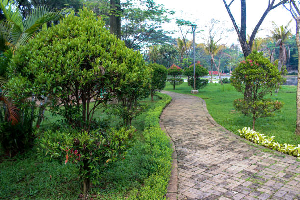 istock garden landscape with paving blocks 1634770867