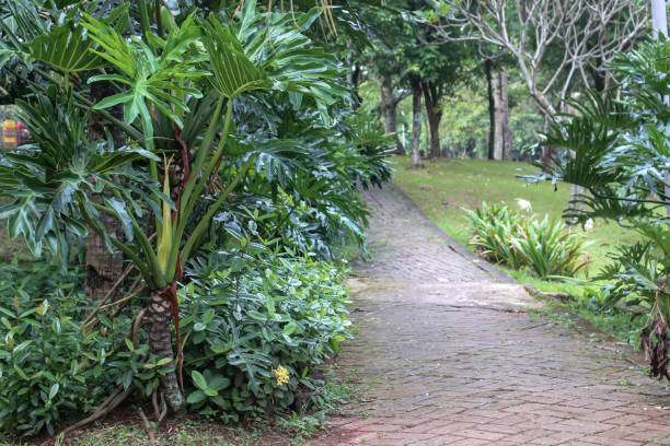 istock garden landscape with paving blocks 1634774009