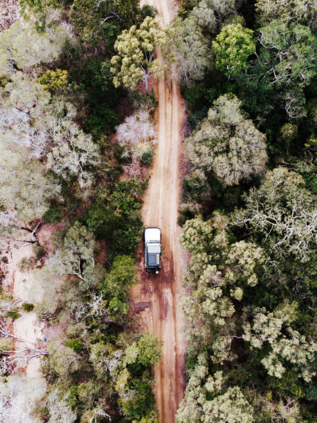 istock Dirt road driving through the forest 1634782311