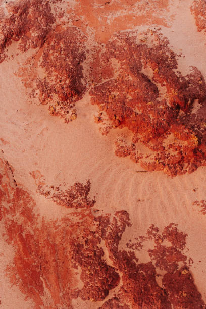 istock Patterns of the red dirt and sand of the outback 1634794329