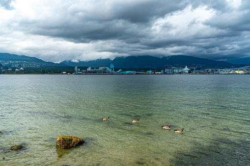 The view of Devonian Harbour Park and Stanley Park, Vancouver, Canada.