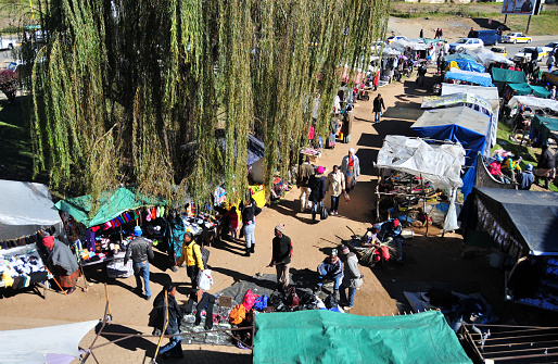 Maseru, Lesotho: view over a street market with stalls under a weeping willow tree in downtown Maseru.