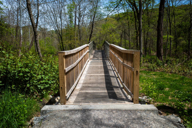 A walkway featuring a creek bridge with symmetrical railings, guiding into a wooden expanse under a serene blue sky at Montour Woods Conservation Area.