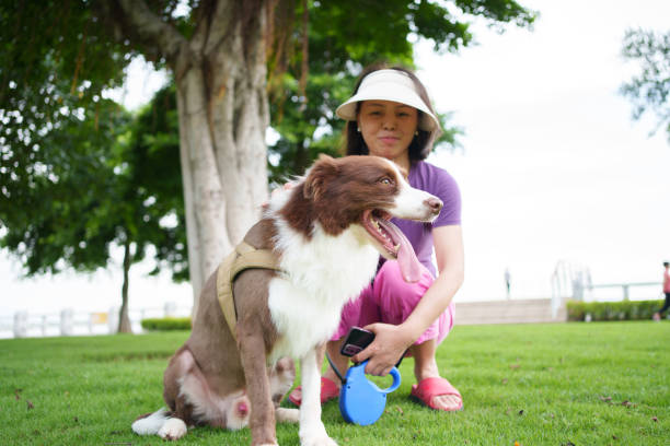 istock woman with pet dog 1634887571