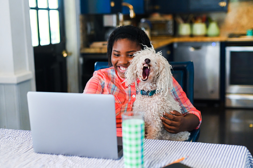 Teen girl at home uses laptop at the family kitchen table with her pet dog on her lap