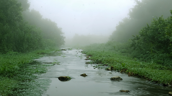 water stream in nature river in rainy season and cold mist 3d illustration