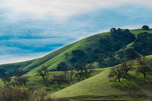A scenic landscape of lush hills blanketed with trees and bright blue skies in the background