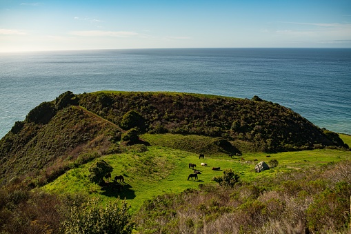 A scenic landscape with a picturesque view of rolling hills and the Pacific Ocean