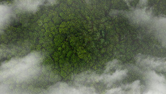Aerial view of misty clouds covering dark green forest The rich natural ecosystem of the rainforest The concept of natural forest conservation