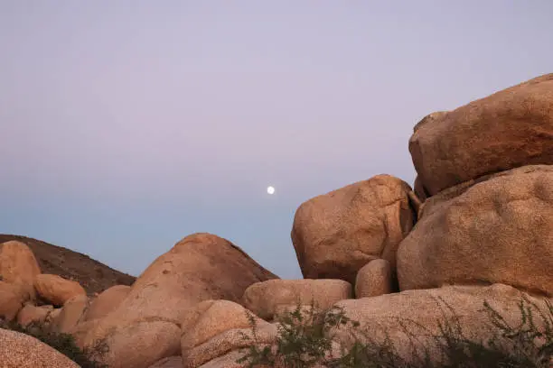 Moon rising over a unique rock formation in Joshua Tree National Park. The sunset paints beautiful hues of pink and purple on the scene.