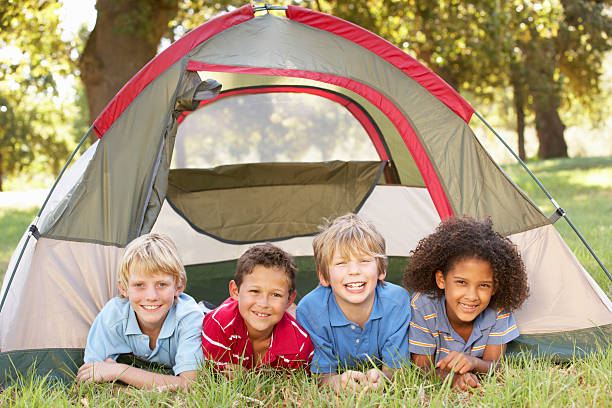 istock Group of children camping with tent over grass 163520461