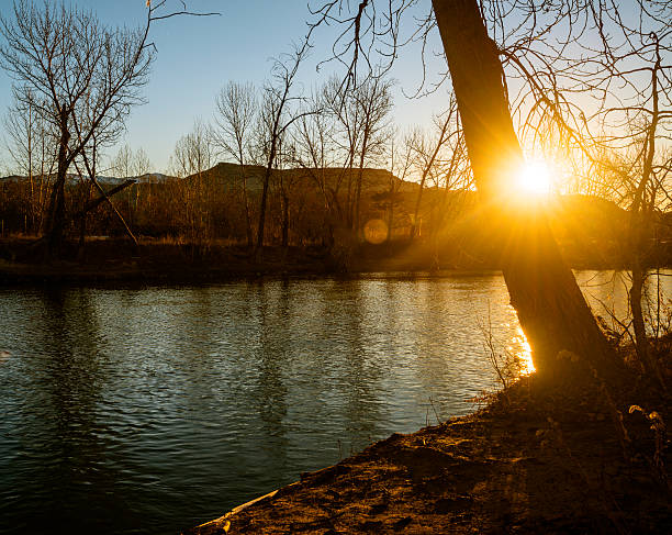 река бойсе sunrise - bare tree environment nature boise стоковые фото и изображения