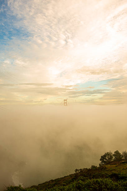 golden gate bridge unter dichtem nebel an einem sonnigen tag zur goldenen stunde - stargate stock-fotos und bilder