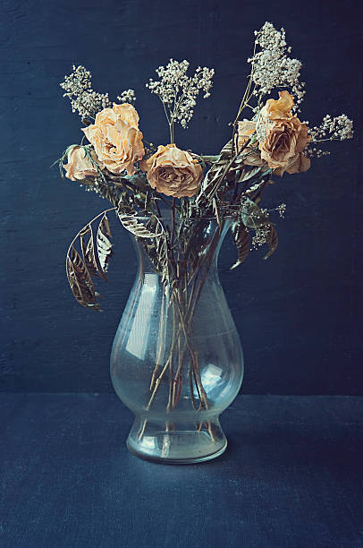 Bouquet of wilted roses in a glass vase on a white background.