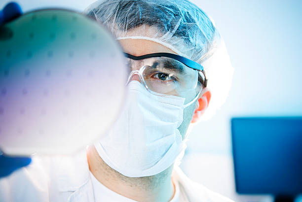 Silicon Wafer Lab worker examining a silicon wafer cleanroom stock pictures, royalty-free photos & images