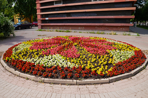 urban round flower bed of different varieties of begonias
