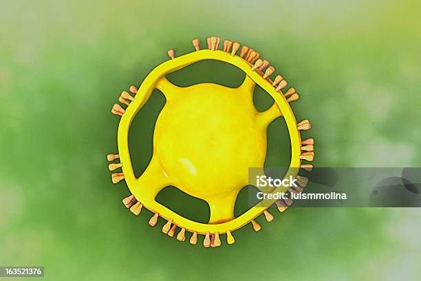 Coronavirus - Fotografie stock e altre immagini di Batterio - Batterio, Biologia, Cellula