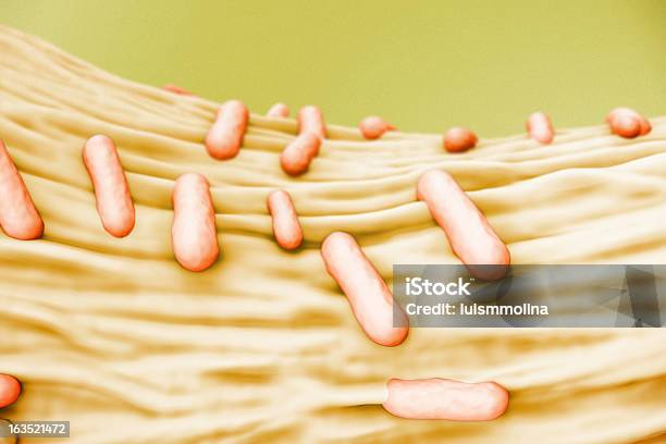 Escherichia Coli - Fotografie stock e altre immagini di Batterio - Batterio, Infezione delle vie urinarie, Bacillus subtilis