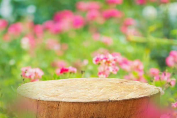 Empty old tree stump table top with blur rose garden background for product display