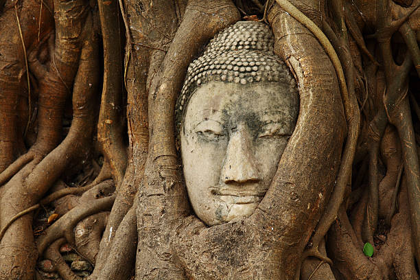 Stein Buddha Sie im Wat Phra Mahathat-Tempel, Ayutthaya, Thailand – Foto