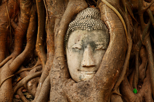 Stone Buddha head at Wat Phra Mahathat, Ayuthaya, Thailand