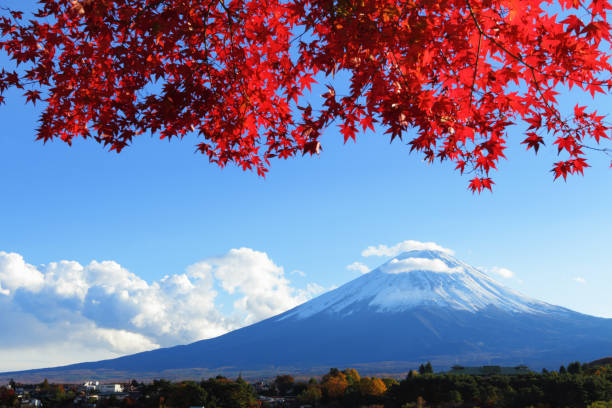 Mt.Fuji in Autumn