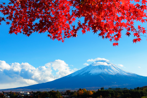 Mt.Fuji in Autumn
