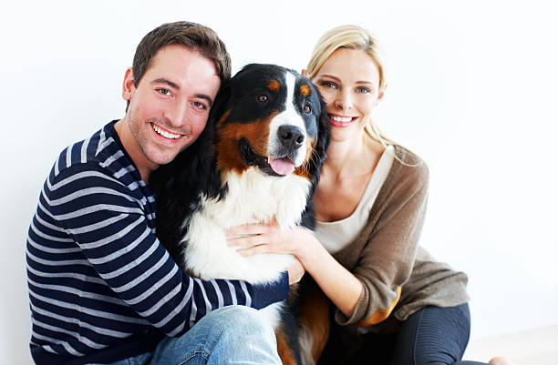 istock We give all the love and attention he needs 163523578