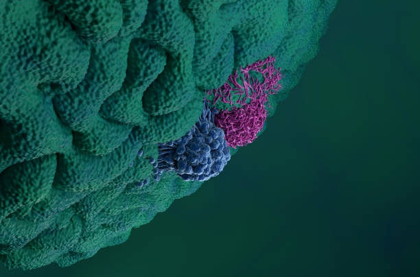 istock Gastric stomach cancer cells - bottom view 3d illustration 1635265484