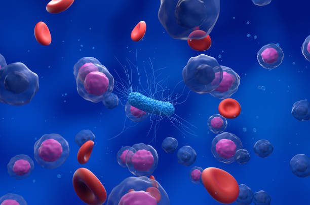 istock General bacteria in the blood flow - isometric view 3d illustration 1635266003