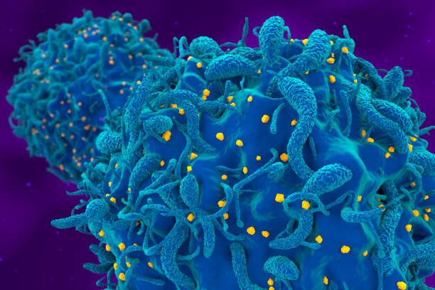 istock Hiv virus attack and infected t-cell - closeup 3d render illustration 1635267054