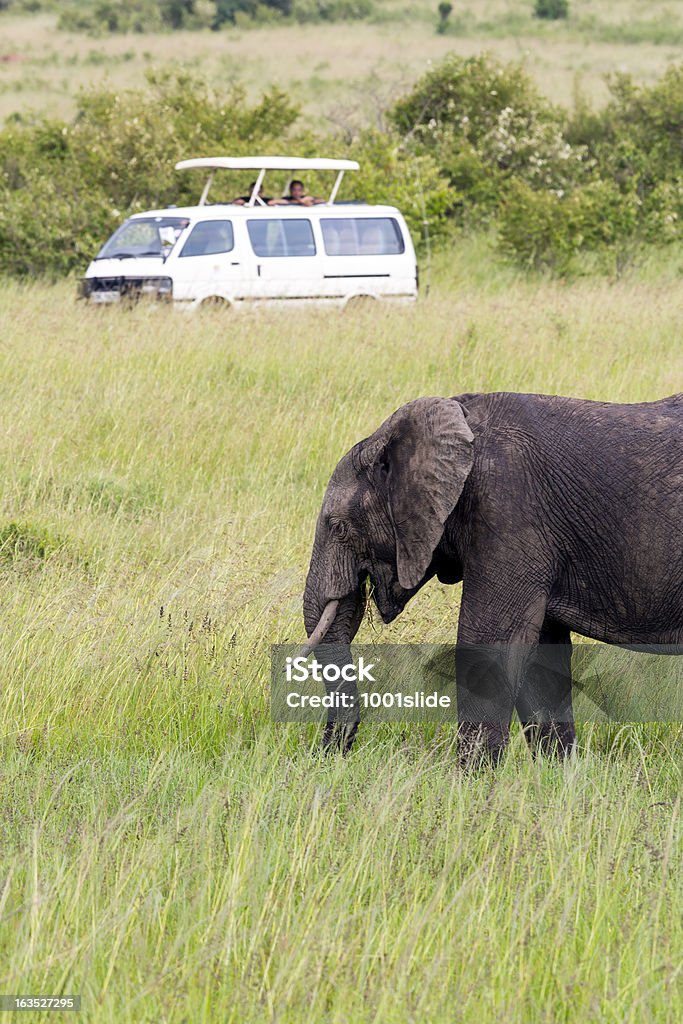 Vida silvestre visualización en África en un Safari de Masai Mara - Foto de stock de 4x4 libre de derechos