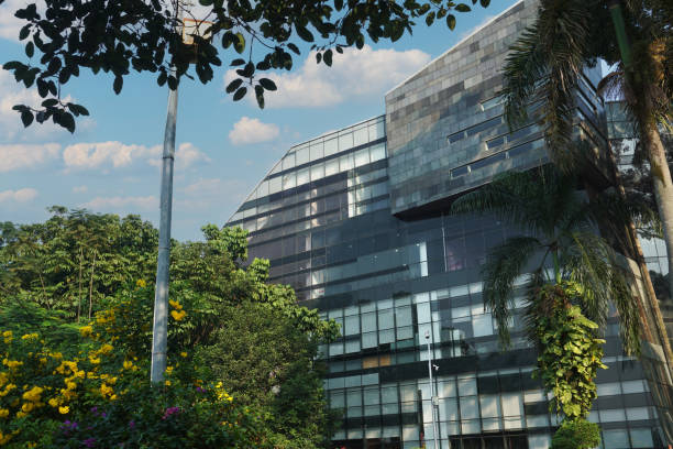 istock Modern eco-friendly glass architecture and greens against blue sky. 1635284450