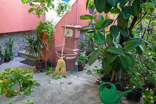 Daily maintenance of hygiene in the yard, at the entrance to the house. Garden around the house.