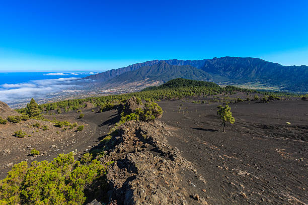 La Palma has volcanic origin, like all the Canary Islands. The picture shows the black volcanic soil, the Canary Island pine that is slowly repopulating the ground and in the background the imposing crater of the Caldera de Taburiente, a ring of summits of 8 km in diameter, with peaks reaching to 2000 meters. Canary Islands, Spain.