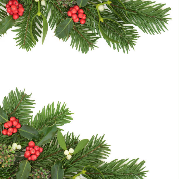 istock Christmas Winter Flora Background Border 1635290774